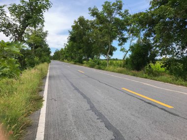 Local concrete road with tree at thailand
