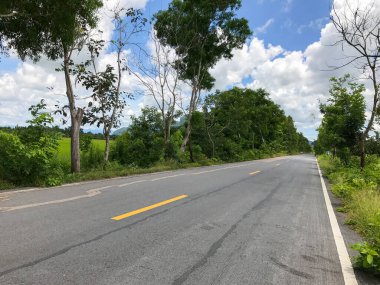 Local concrete road with tree at thailand