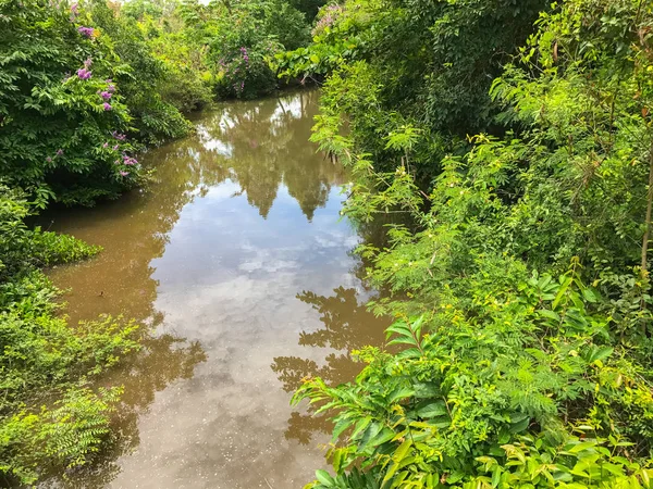 Vers kanaal in het bos in Thailand — Stockfoto