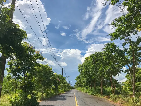 Estrada local com árvore em Phatthalung Tailândia — Fotografia de Stock