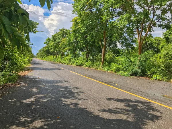 Local road with tree in Phatthalung thailand — стокове фото