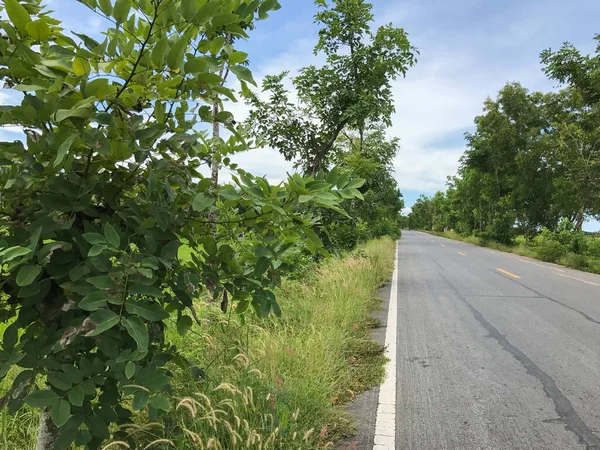 Estrada de concreto local com árvore na Tailândia — Fotografia de Stock