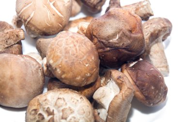 Shiitake Mushroom on white plate isolated on white