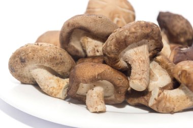 Shiitake Mushroom on white plate isolated on white