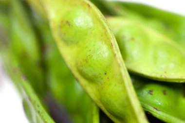 Parkia speciosa bean or bitter bean on white background