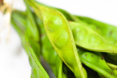 Parkia speciosa bean or bitter bean on white background