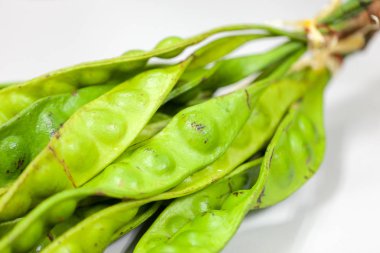 Parkia speciosa bean or bitter bean on white background