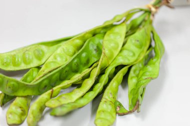 Parkia speciosa bean or bitter bean on white background