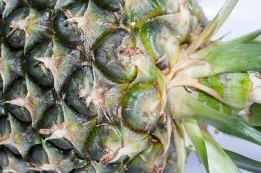 Texture of pineapple isolated on white background