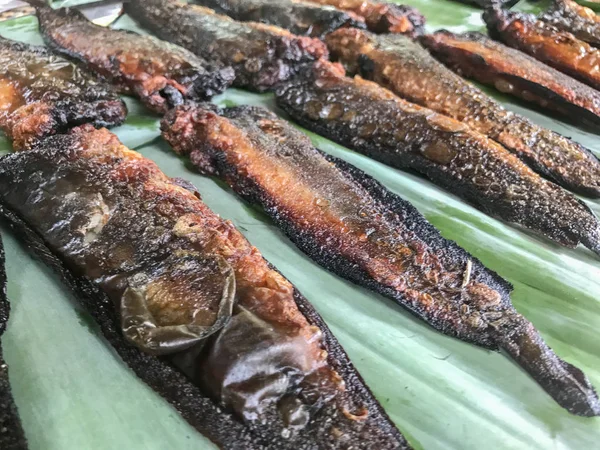 Nahaufnahme von sonnengetrocknetem gesalzenem Fisch — Stockfoto