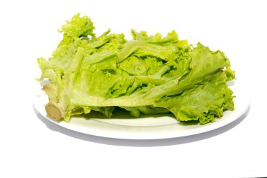 Beyaz arka plan üzerinde izole marul yakın çekim