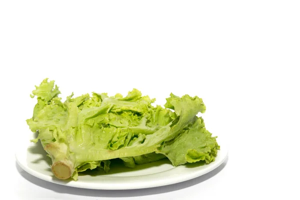 Närbild på sallad isolerad på vit bakgrund — Stockfoto