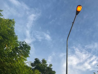 Akşamları parkta lamba direği