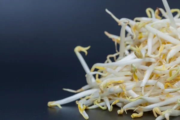 Close up mung bean sprout on black background — 스톡 사진