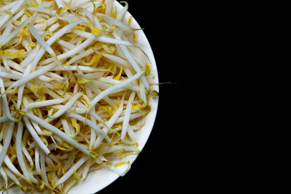 Mung bean sprout on plate and black background — 스톡 사진
