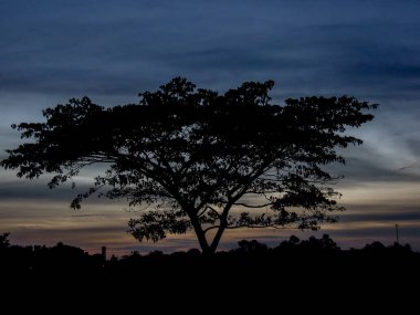 Tayland 'da yerel bir ülkede siluet ağacı