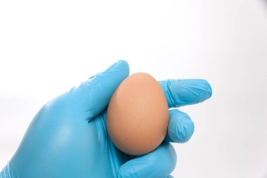 Mavi eldivenli el yumurta tutuyor.