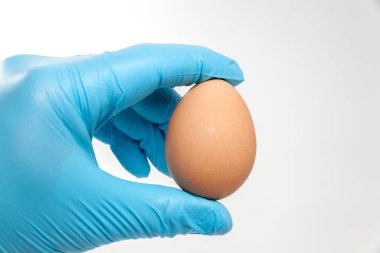 Mavi eldivenli el yumurta tutuyor.