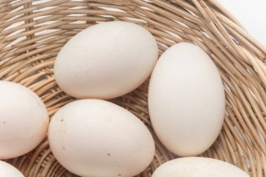 raw dirty duck eggs in basket on white background