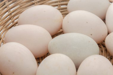 raw dirty duck eggs in basket on white background