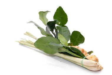 Thai food ingredient for Tom yum ginger,Galangal,lemon grass,KAF