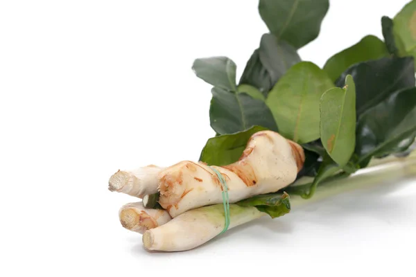 Ingrediente alimentare tailandese per Tom yum zenzero, Galangal, citronella, KAF — Foto Stock