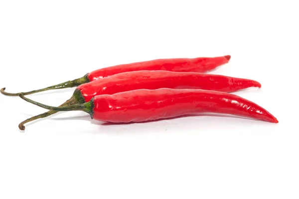 Big red chili isolated on white background — Stock Photo, Image