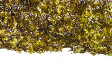 Beyaz arkaplandaki yosun örtüsünü kapat