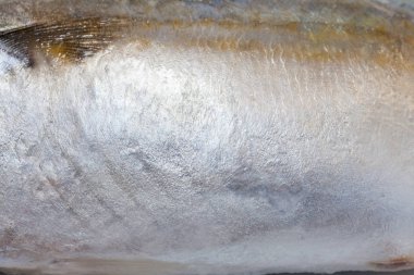 Ton balığı derisini kapatın.