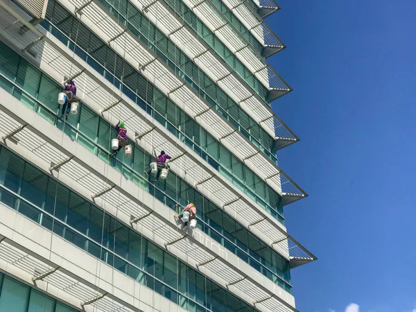 Grupo de trabalhadores serviço de limpeza de janelas em edifício alto — Fotografia de Stock