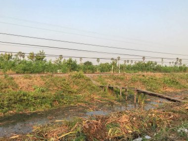 Yol kenarında inşaat için boş arazi