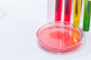 Petri kabında kırmızı sıvı ve tüpte renkli sıvı