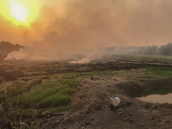 Fogo e fumaça no campo de arroz, poluição do ar — Fotografia de Stock