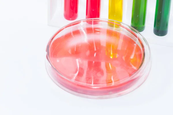 Red liquid in petri dish and colorful liquid in tube — 스톡 사진