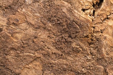 Eski ahşap dokusunu kapat