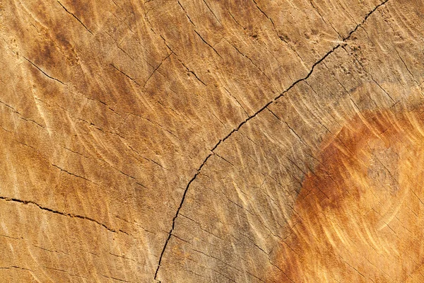 Primer plano de la vieja textura de madera cortada — Foto de Stock