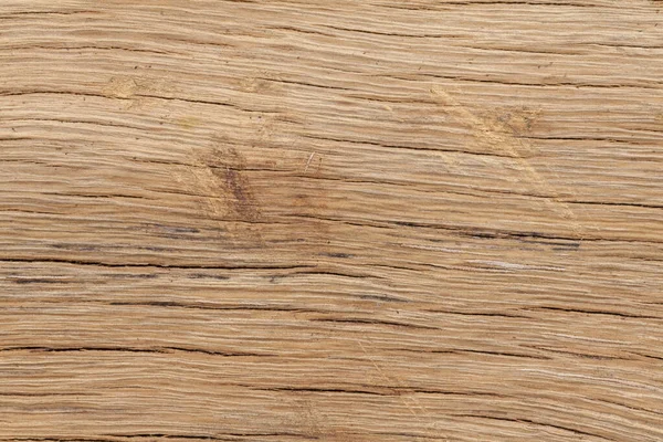 Primer plano de la textura del tronco de madera vieja — Foto de Stock