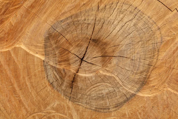 Primer plano de la vieja textura de madera cortada — Foto de Stock