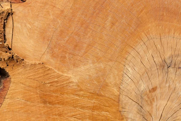 Primer plano de la vieja textura de madera cortada — Foto de Stock