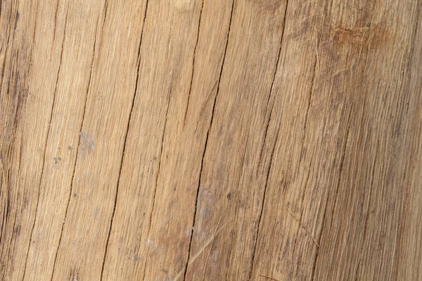 Zbliżenie starego drewnianego tułowia tekstury — Zdjęcie stockowe