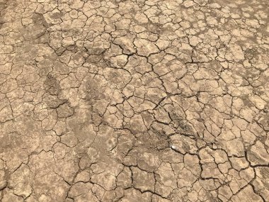 sarı çatlak kuru toprak arka plan desen ve lastik