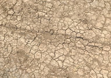 sarı çatlak kuru toprak arka plan desen ve lastik