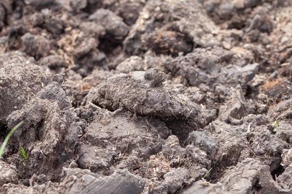 Cerrar la superficie del suelo en blanco para cultivar plantas — Foto de Stock