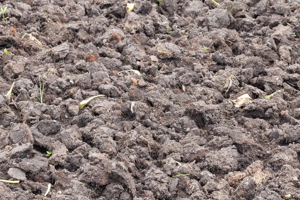 Cerrar la superficie del suelo en blanco para cultivar plantas — Foto de Stock