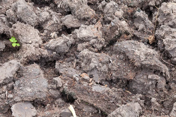Close up κενή επιφάνεια του εδάφους για την καλλιέργεια φυτών — Φωτογραφία Αρχείου