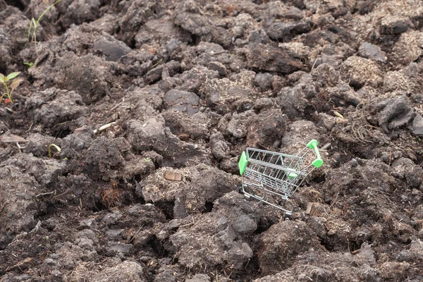 mini supermarket cart on dirt plant at farm