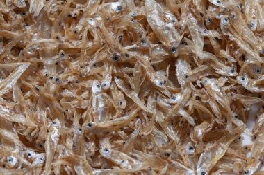 Tayland 'ın güneyindeki yerel küçük balıklar