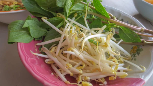 Primer plano de la albahaca dulce vegetal y brotes de frijol en un tazón — Foto de Stock