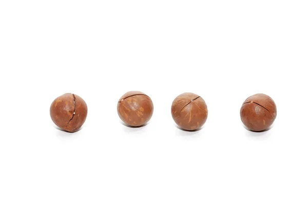 Close up of organic macadamia nut on white background — Stockfoto