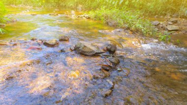Phatthalung, Tayland 'daki doğal parktaki derenin suyu.